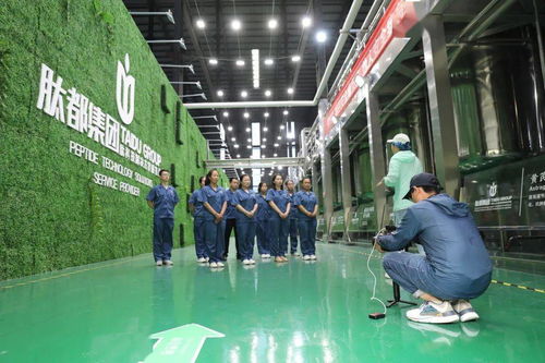 河北電視臺《冀有好物》攝制組探訪大名 聚焦文旅融合新亮點