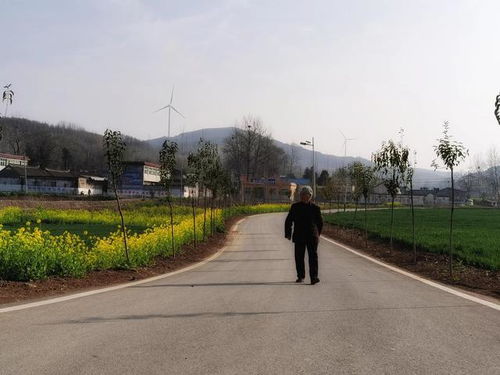 中原云裳牧場 魯山縣生態旅游新地標，點亮東部文旅新版圖