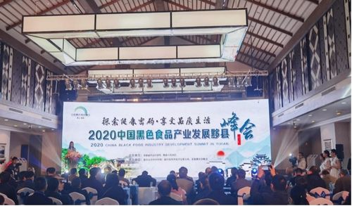 2020中國(guó)黑色食品產(chǎn)業(yè)發(fā)展黟縣峰會(huì)成功舉辦 推動(dòng)產(chǎn)業(yè)創(chuàng)新與數(shù)字化轉(zhuǎn)型