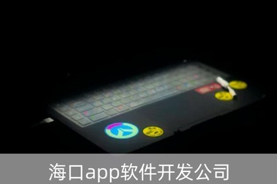 海口APP軟件開發(fā)公司 技術(shù)與服務(wù)的完美融合